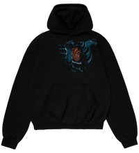 Cargar imagen en el visor de la galería, 17-17 hoodie
